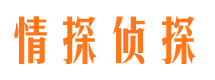 陆丰市侦探调查公司